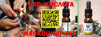 прущие грибы Можга