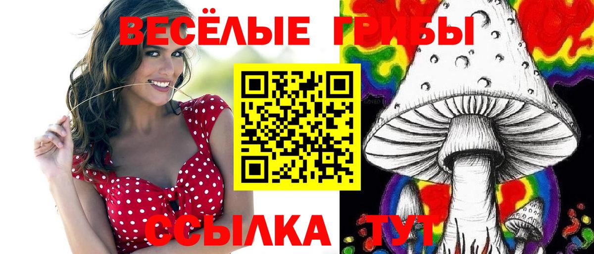 Псилоцибиновые грибы GOLDEN TEACHER Боровичи