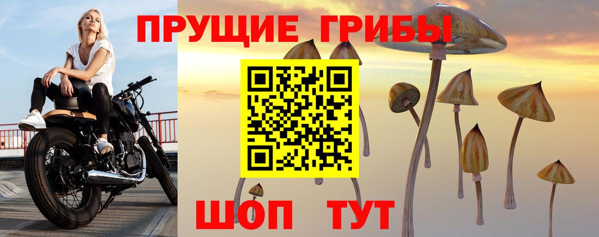 Галлюциногенные грибы мухоморы  Вход с VPN  Боровичи 